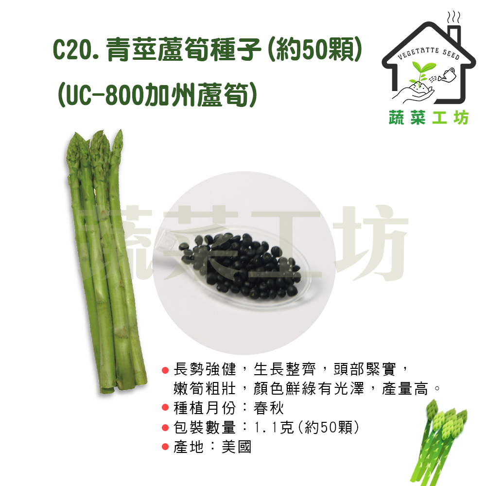 根付 筍 骨 牙等天然素材 無銘 蔬菜工坊C20.青莖蘆筍種子1.1克(約50顆)(UC-800加州蘆筍)(長勢強健