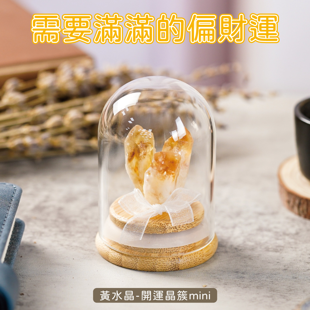 FREED 【GOODTIME】 黃水晶開運招財水晶簇mini