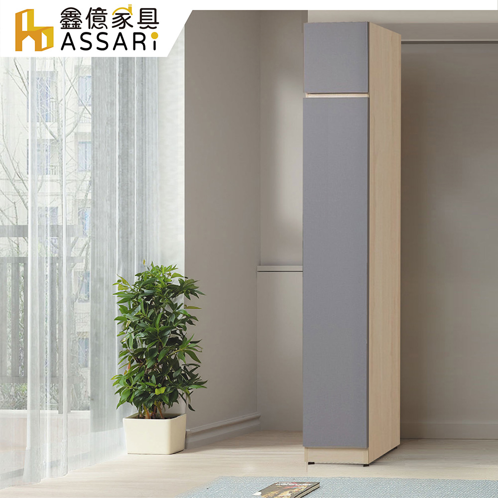 ASSARI 水芳1.3尺單吊加高衣櫃(寬38x深59x高238cm)