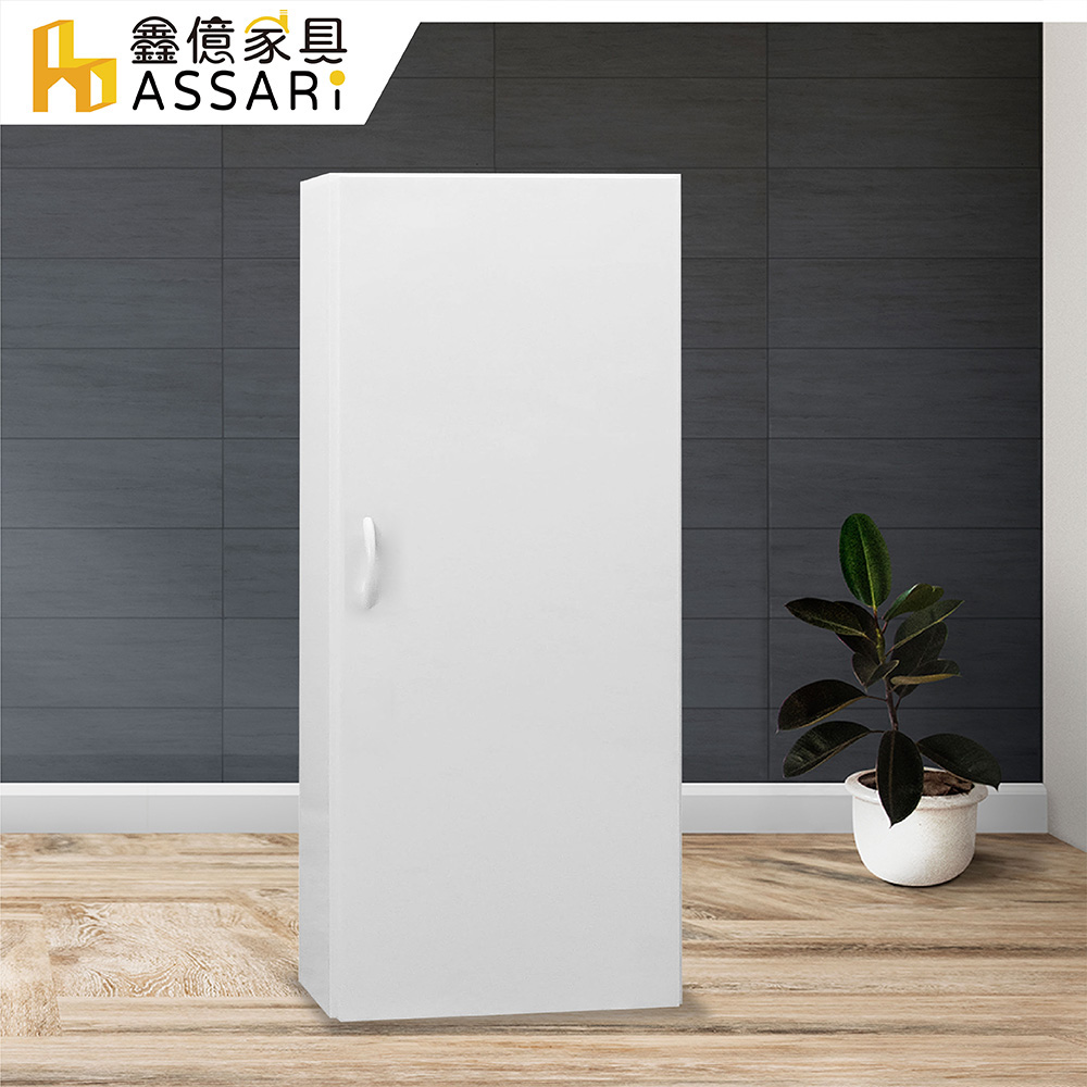 ASSARI -防潮防蛀塑鋼緩衝加高浴室吊櫃(寬42x深22x高120cm)