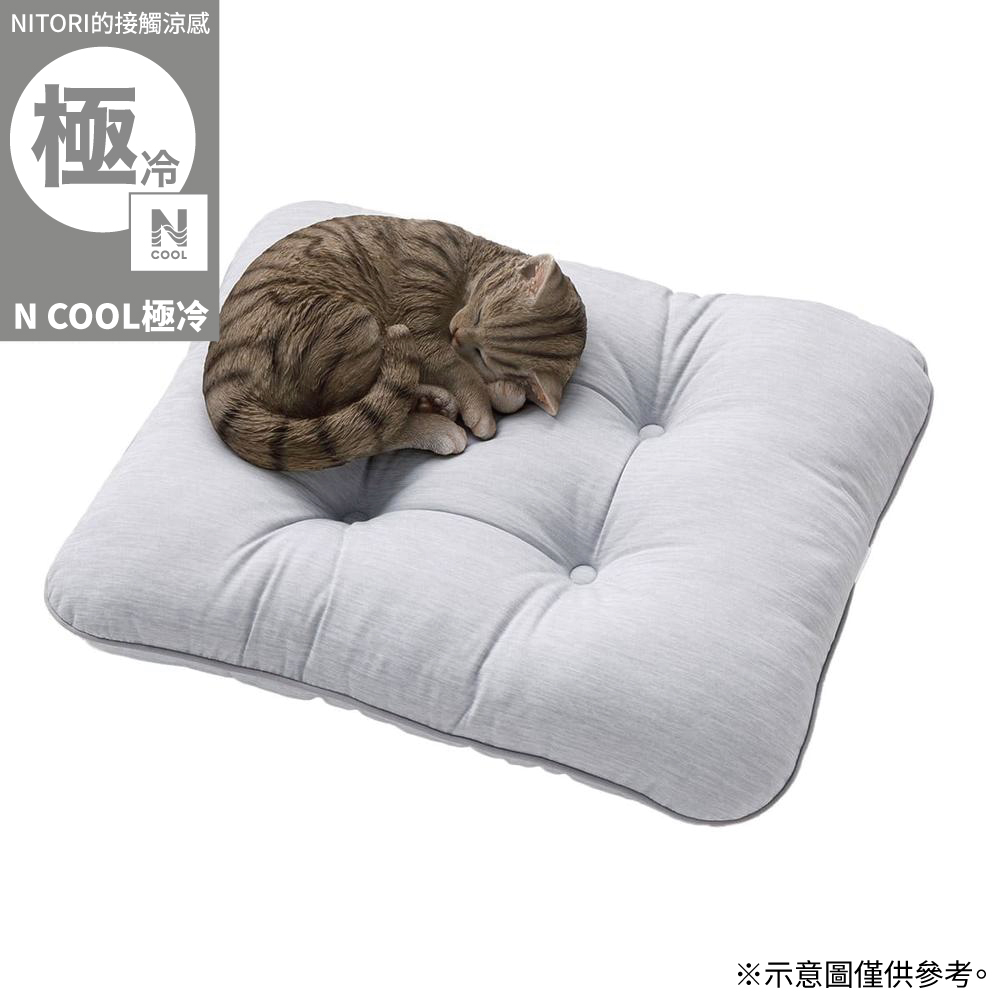 NITORI 宜得利家居 【DECO HOME商品】接觸涼感 寵物靠墊 M N COOL 極冷 GY(DH)