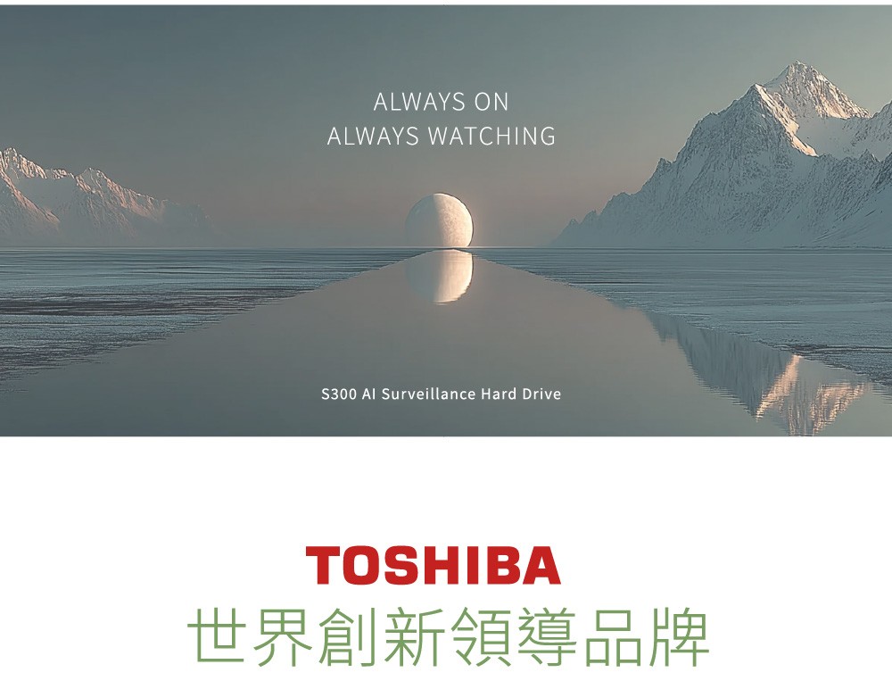 ALWAYS ONALWAYS WATCHINGS300 Al Surveillance Hard DriveTOSHIBA世界創新領導品牌