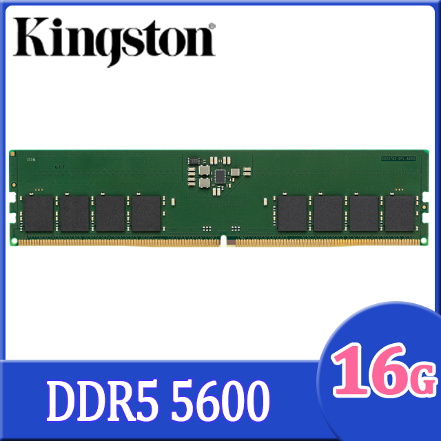 Kingston 金士頓 DDR5 5600 16GB 桌上型記憶體(KVR56U46BS8-16)