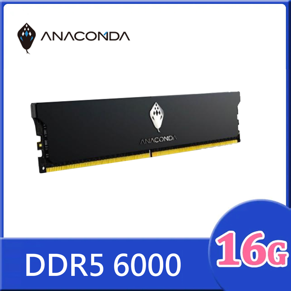 ANACOMDA 巨蟒 KingSnake DDR5 6000 16GB UDIMM 桌上型 記憶體