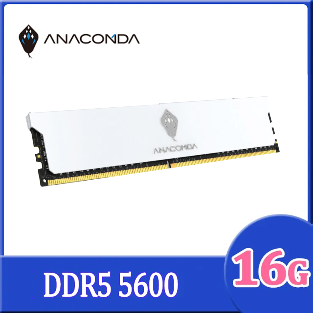 ANACOMDA 巨蟒 KingSnake DDR5 6000 16GB UDIMM 桌上型 白色 記憶體