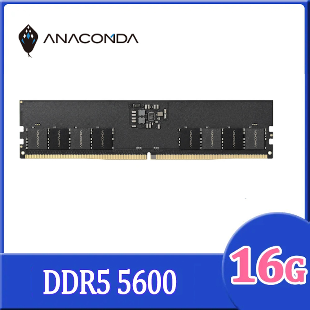 ANACOMDA 巨蟒 DDR5 5600 16GB UDIMM 桌上型 記憶體
