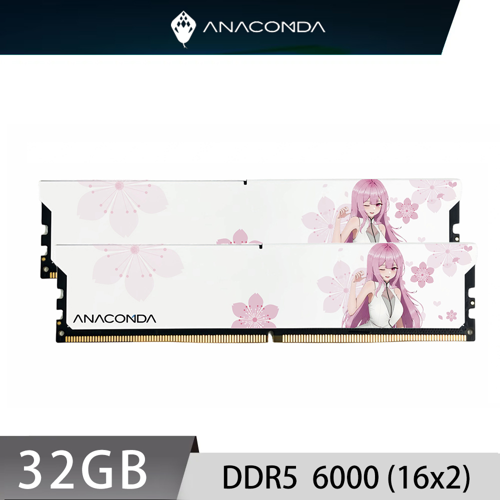 ANACOMDA 巨蟒 KingSnake ANA DDR5 6000 32GB (16Gx2) UDIMM 桌上型 白色 記憶體