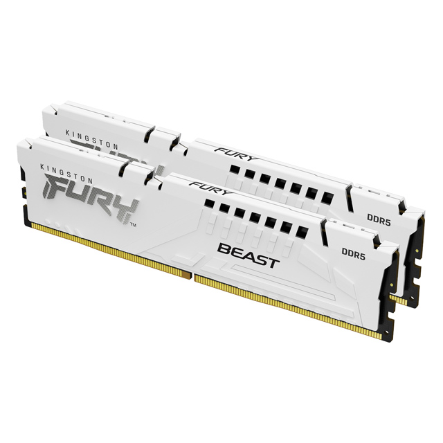 Kingston 金士頓FURY Beast 獸獵者DDR5 5600 32GB(16GBx2) 桌上型超頻