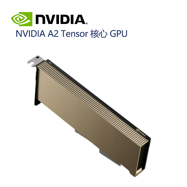 NVIDIA Ampere A2 16GB GDDR6 PCIe X8 Low Profile-60w 900-2G179-0020-000 ...