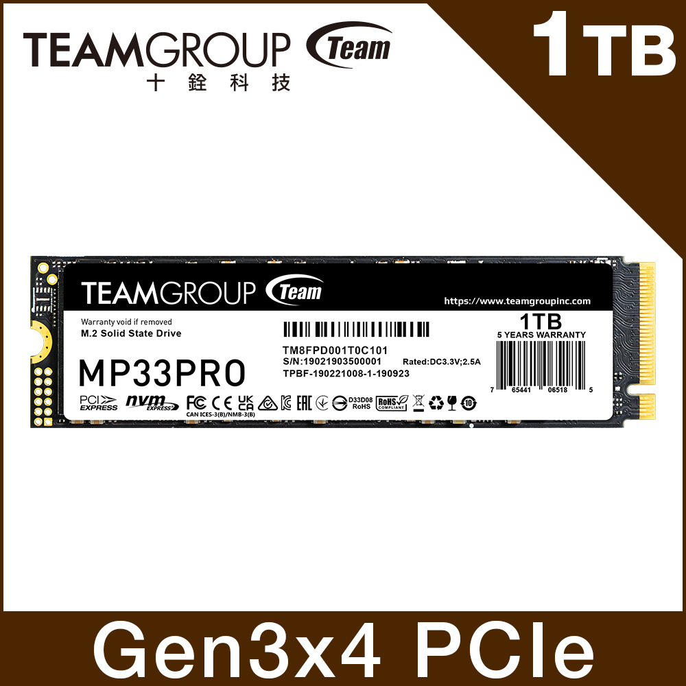 MP33 PRO 1TB M.2 PCIe SSD 固態硬碟