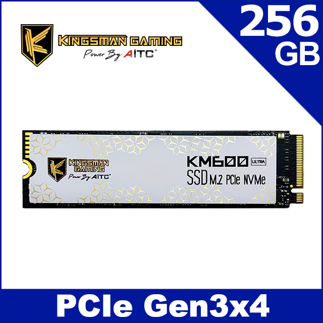 AITC 艾格 KINGSMAN KM600 ULTRA SSD 256GB M.2 2280 PCIe 固態硬碟