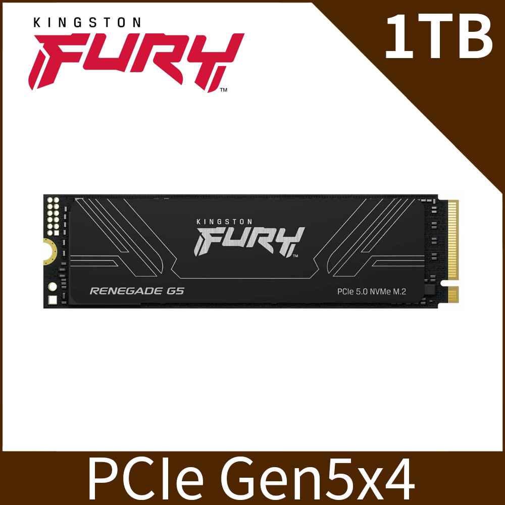 Kingston 金士頓 FURY Renegade 1TB PCIe 5.0 NVMe M.2 SSD (SFYRS/1000G)
