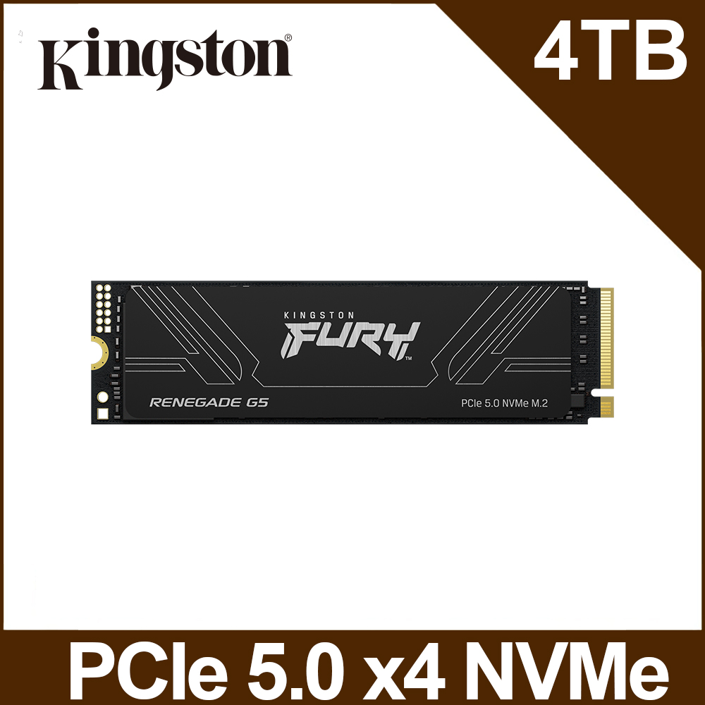 Kingston 金士頓 FURY Renegade G5 4TB PCIe 5.0 NVMe M.2 SSD (SFYR2S/4T0)