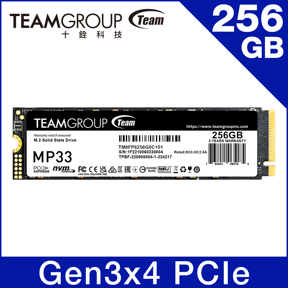 Team 十銓 MP33 256GB M.2 PCIe SSD 固態硬碟