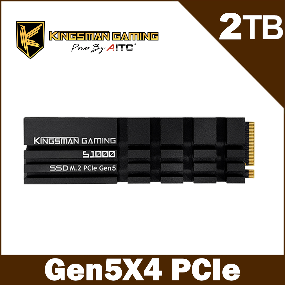 AITC 艾格 KINGSMAN S1000 2TB M.2 PCIe NVMe Gen5x4 SSD固態硬碟