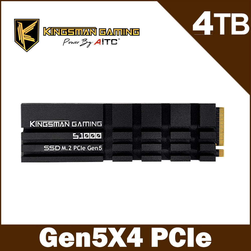 AITC 艾格 KINGSMAN S1000 4TB M.2 PCIe NVMe Gen5x4 SSD固態硬碟