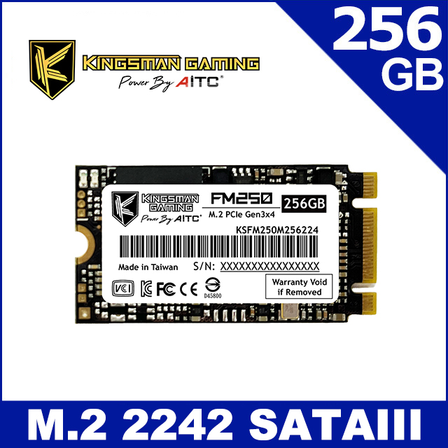 AITC 艾格 FM250 SSD 256GB M.2 2242 SATAIII 固態硬碟
