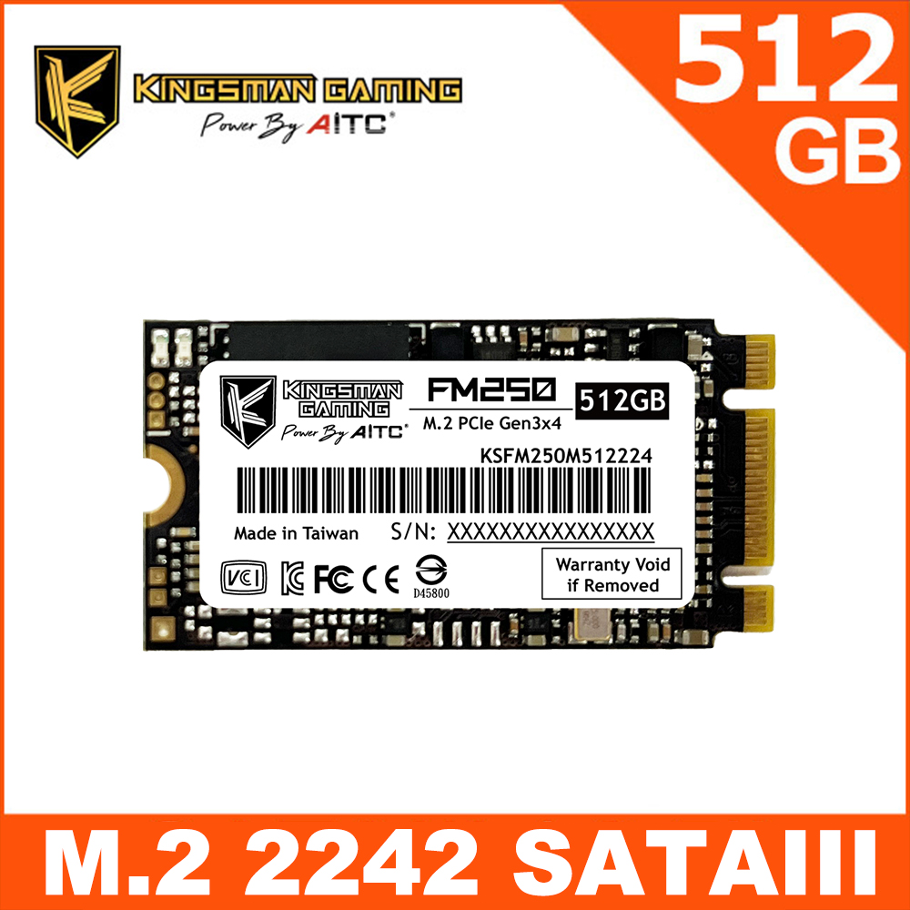 AITC 艾格 FM250 SSD 512GB M.2 2242 SATAIII 固態硬碟