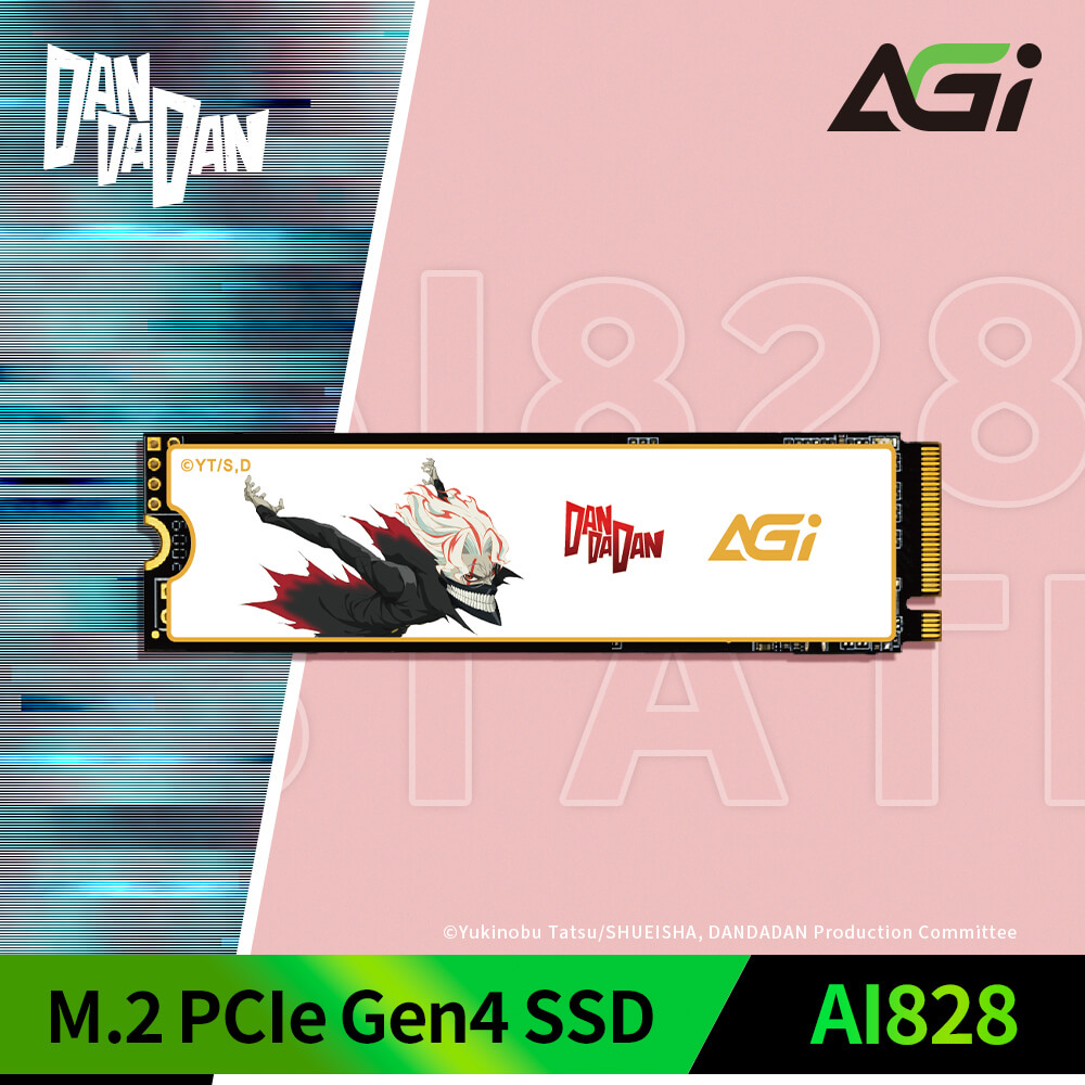 AGI 亞奇雷 |膽大黨 AI828 M.2 PCIe 4.0 1TB SSD 固態硬碟(厄卡倫款)