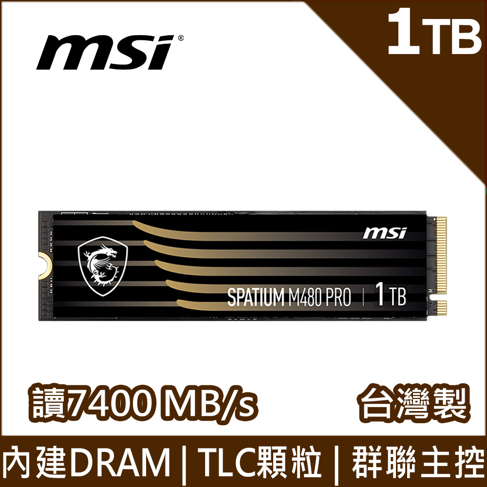 MSI 微星SPATIUM M560 1TB PCIe 5.0 NVMe M.2 SSD - PChome 24h購物