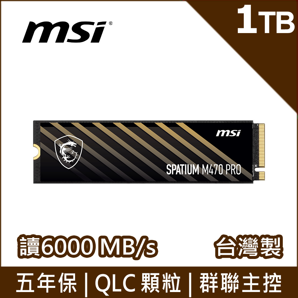 MSI 微星SPATIUM M560 1TB PCIe 5.0 NVMe M.2 SSD - PChome 24h購物