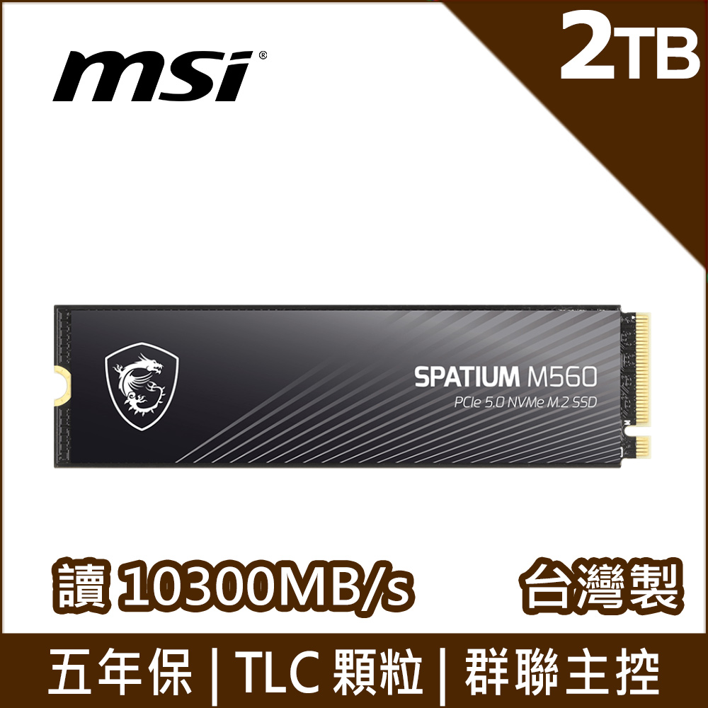 MSI 微星SPATIUM M560 1TB PCIe 5.0 NVMe M.2 SSD - PChome 24h購物