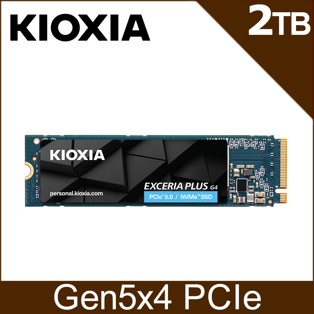 未開封 KIOXIA EXCERIA PLUS G2 2TB NVMe SSD 51FfWSNWC6L._UF1000,1000_QL80_.jpg