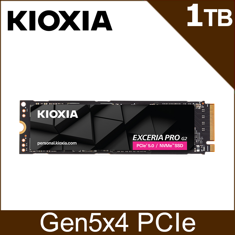 KIOXIA 鎧俠 EXCERIA PRO G2 NVMe M.2 1TB SSD (LVE10Z1T02G8)