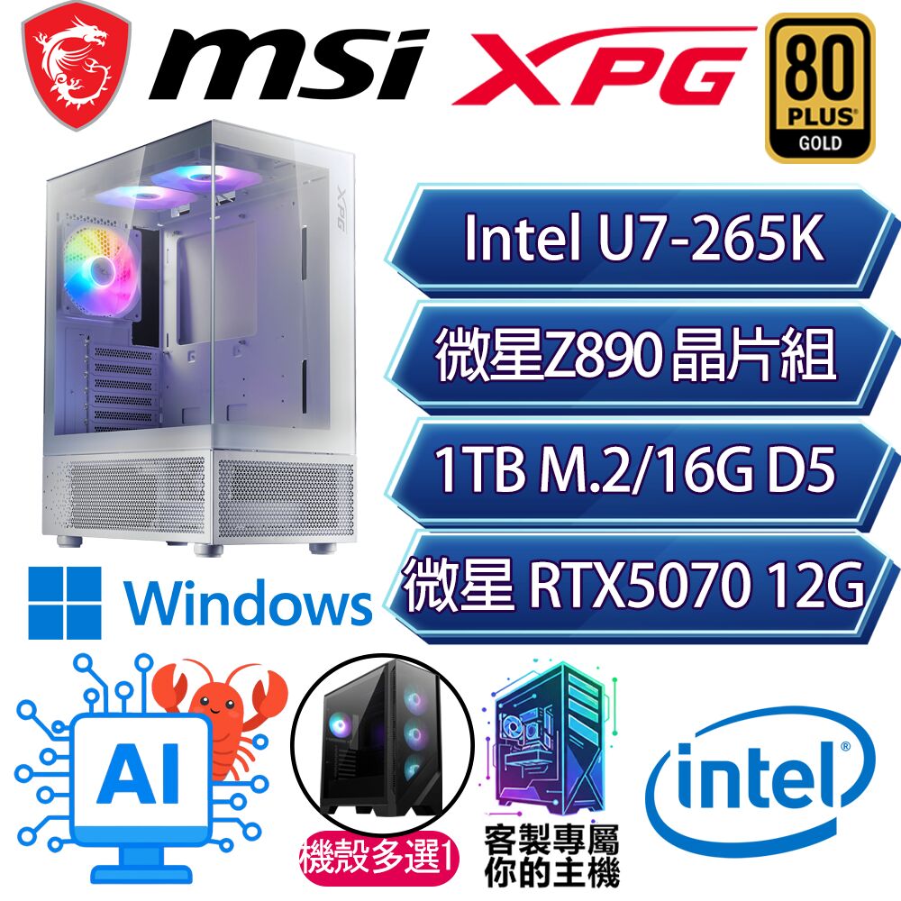 MSI 微星 RTX5070/U7-265K 二十核/Z890/16G/1T/W11P/人機迷網/微星平台【百尺竿頭P】AI電競電玩電腦