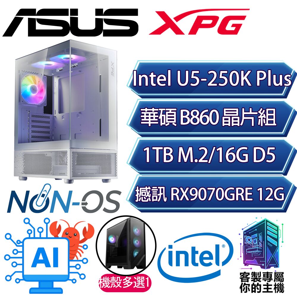 ASUS 華碩 RX9070GRE/U5-250K+ 十八核/B860/16G D5/1TB/人機迷網/華碩平台【推雪】AI海景房電競電腦（其他規格）