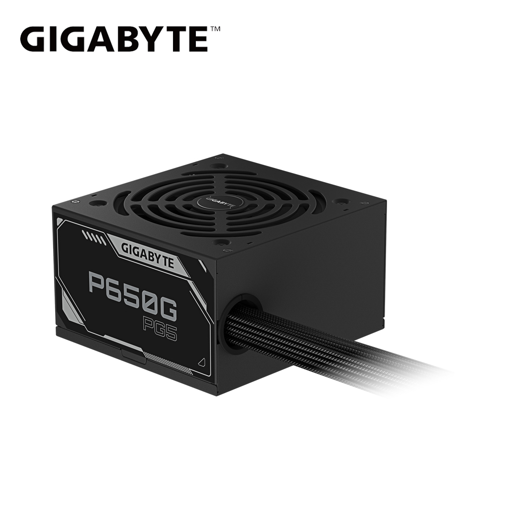 GIGABYTE 技嘉 P650G PG5 金牌 電源供應器