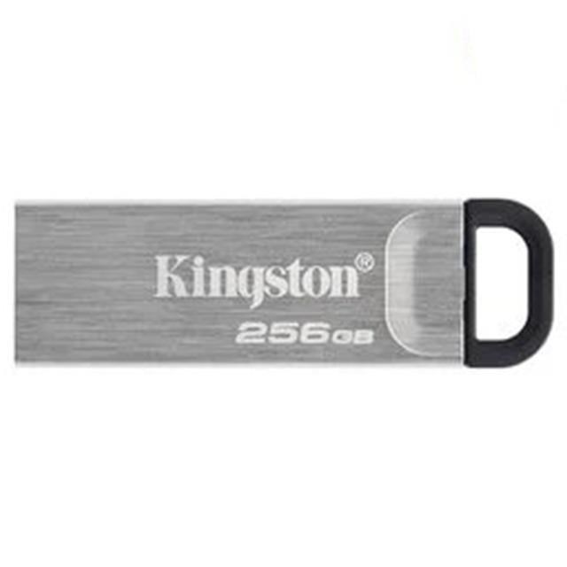 Kingston 金士頓 256GB 256G DTKN-256G DTKN USB 3.2 隨身碟