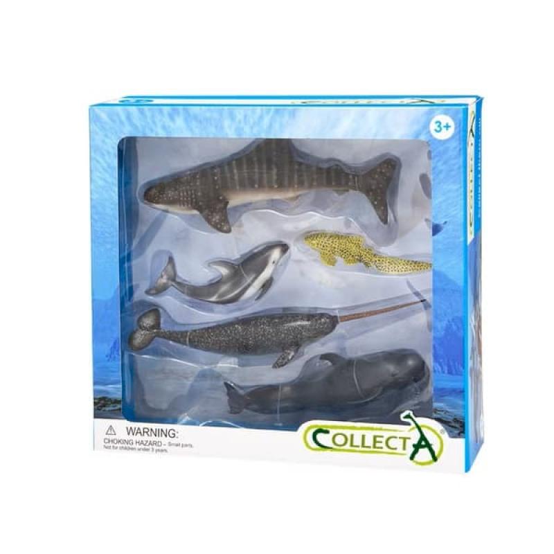 小牛津【永曄】collectA 海洋動物禮盒組(5入)~英國高擬真模型-R89671