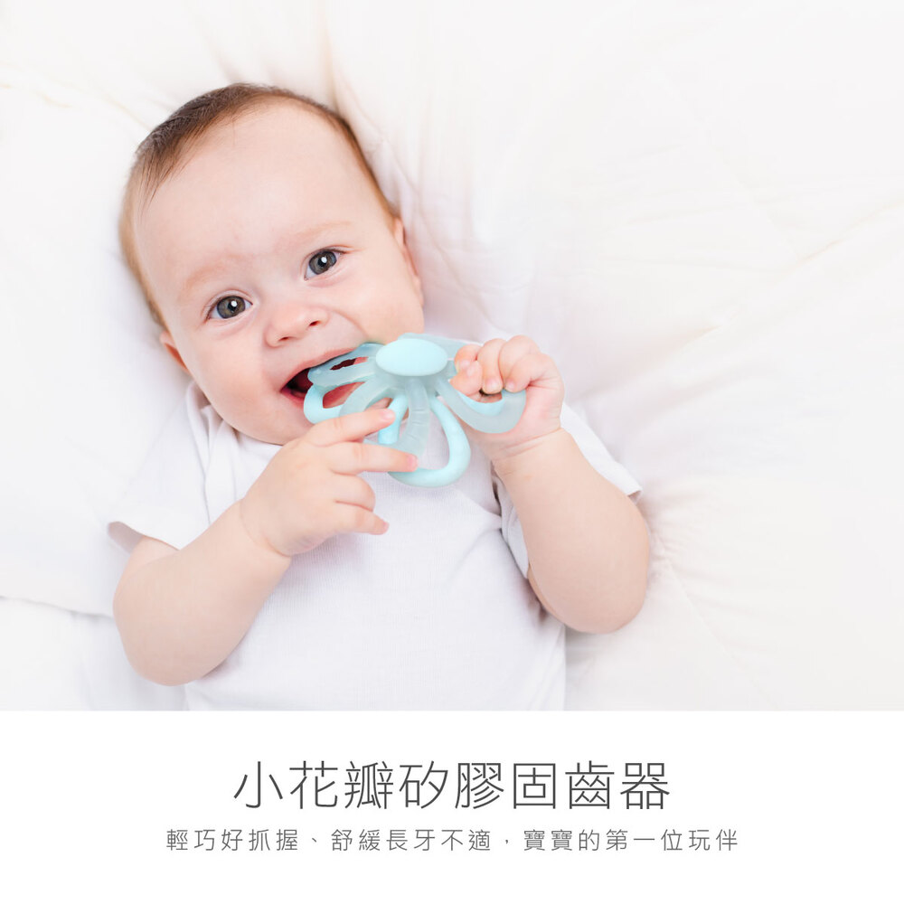 KUKU PLUS小花瓣矽膠固齒器(氣泡藍/莓果粉/伯爵奶)