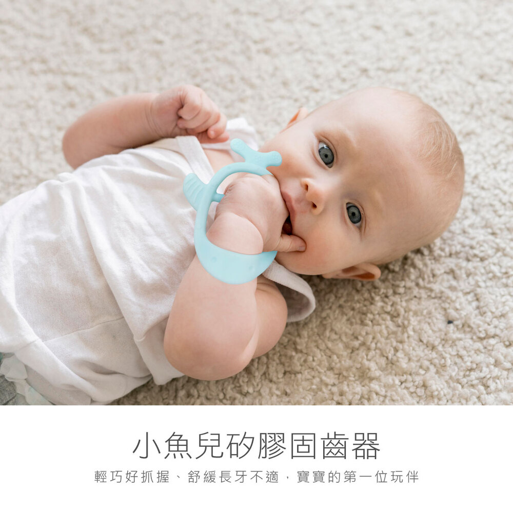 KUKU PLUS小魚兒矽膠固齒器(氣泡藍/莓果粉/伯爵奶)
