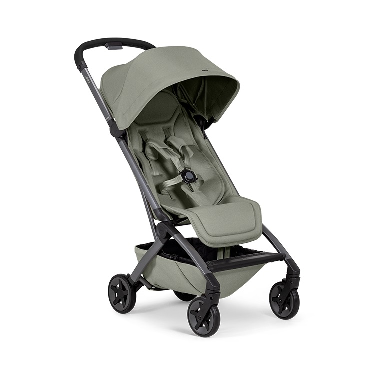 RECARO Easylife Elite 2 Prime 嬰幼兒手推車- PChome 24h購物