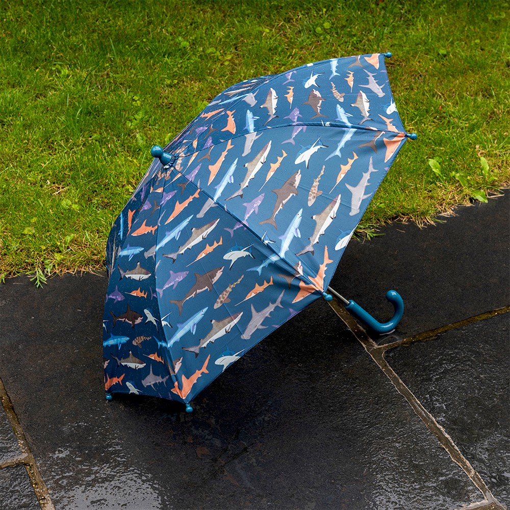 Rex LONDON 英國 Push up兒童雨傘(鯊魚圖鑑) / 兒童傘 雨具