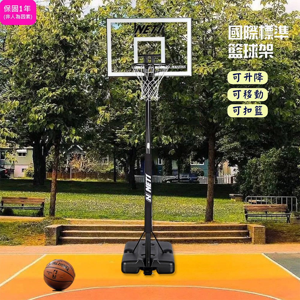 HomeMax 家居工場 成人籃球架/透明籃板/實心籃框/高度可升降/自由移動台灣製造#2003