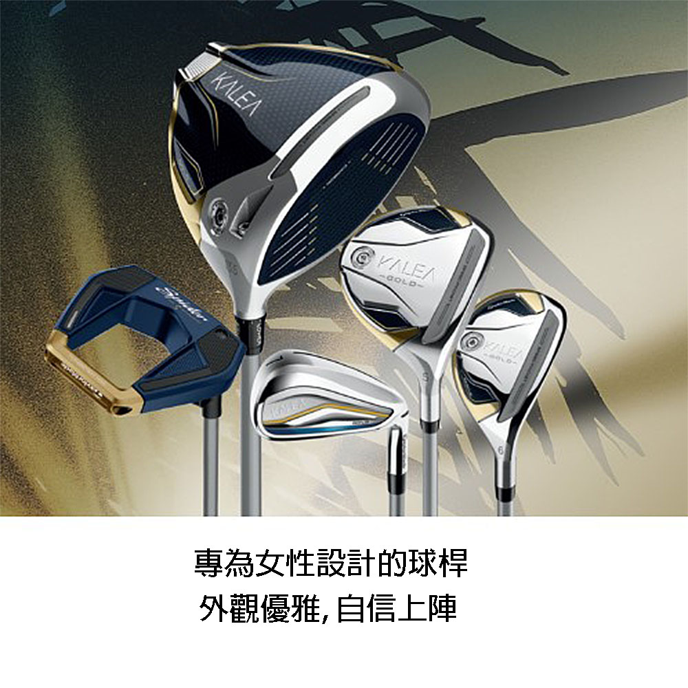 TaylorMade KALEA GOLD 成套女用套桿組 12枝再送桿袋 亞規