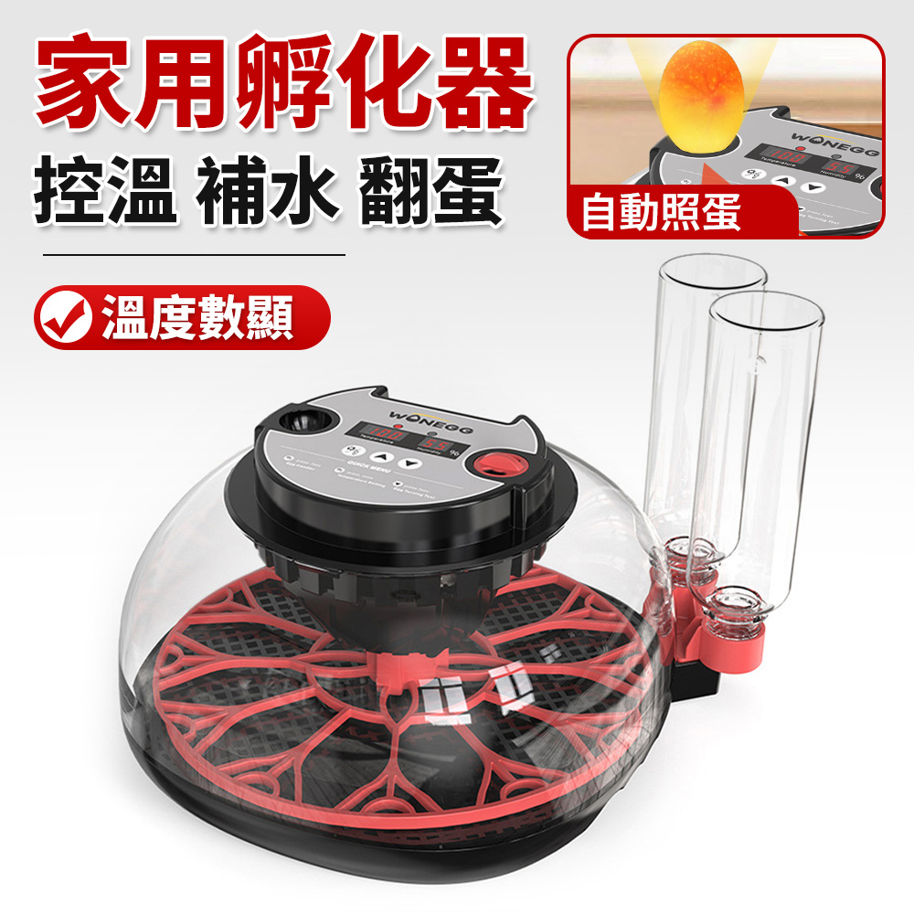 110V全自動孵蛋機 12枚小型智能家用孵化機 可拆卸清理 雞蛋孵化器 小雞孵化養殖 鴿子孵蛋器 蘆丁雞孵蛋
