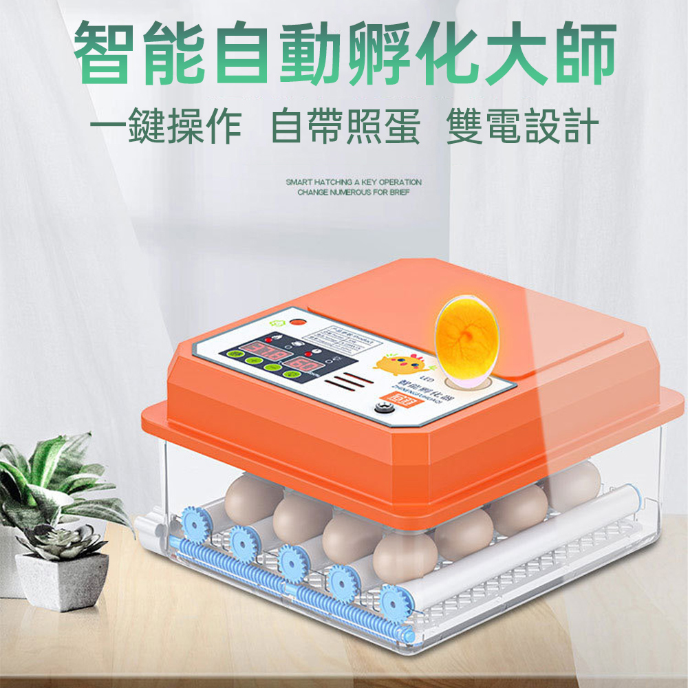 【銳達】台灣現貨 48枚孵蛋機 雞鴨鵝鳥蛋孵化器 智能孵化箱 雙電備用 自動控溫 自動補水