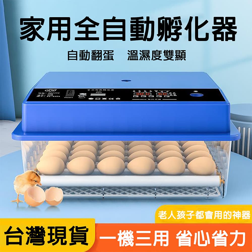 FANGE 方格 台灣現貨 孵蛋器 48枚雙電源孵蛋器 全自動孵化器 智能控溫箱 雞鴨鵝鴿迷妳孵化機 自動翻蛋