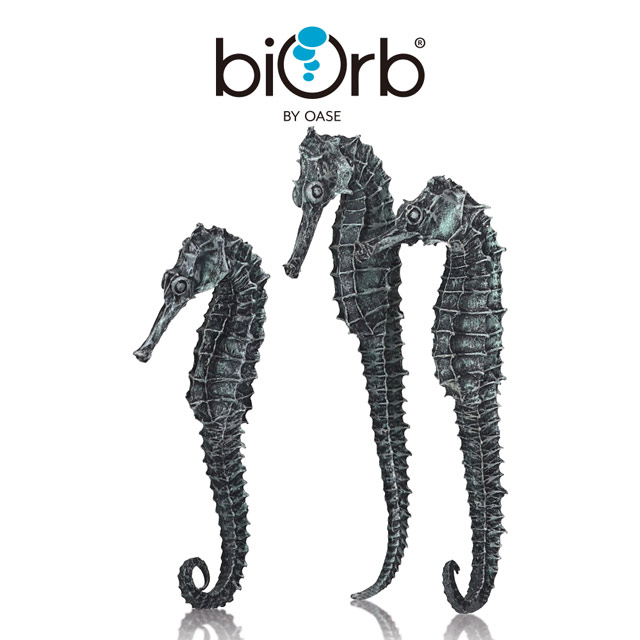 OASE 歐亞瑟 biOrb 海馬造型裝飾3入組(金屬黑)
