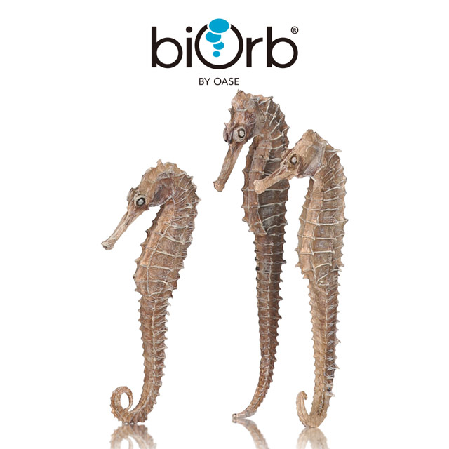 OASE 歐亞瑟 biOrb 海馬造型裝飾3入組(自然色)