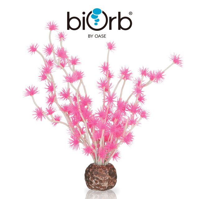 OASE 歐亞瑟 biOrb 仿真小刺松(粉色)