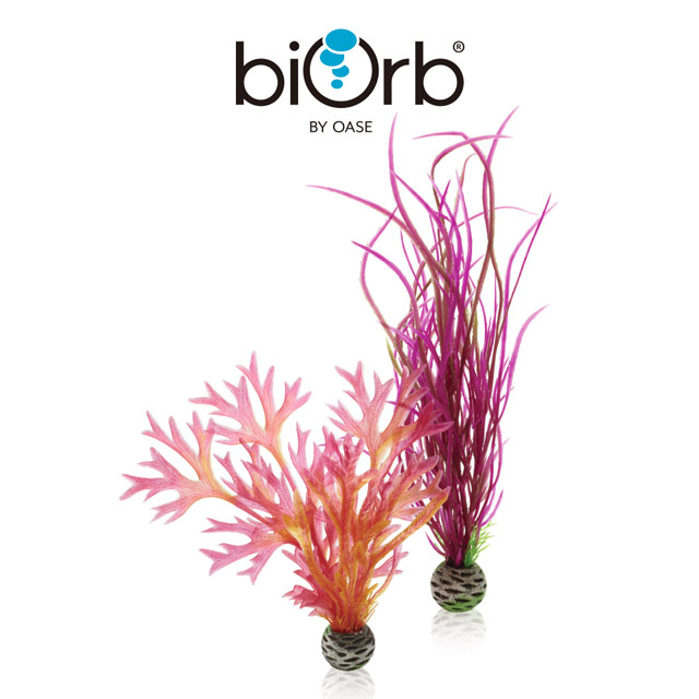 OASE biOrb 紅粉色仿真植栽組(中)