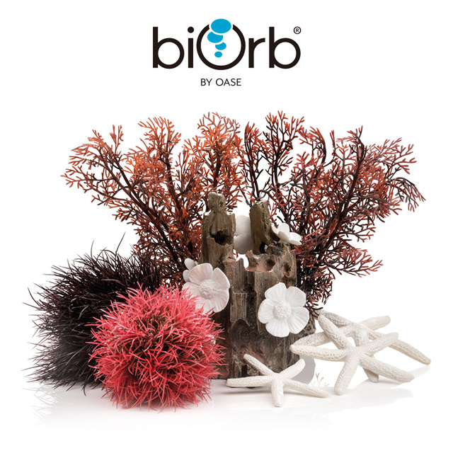 OASE 歐亞瑟 biOrb 紅森林裝飾套組 15L