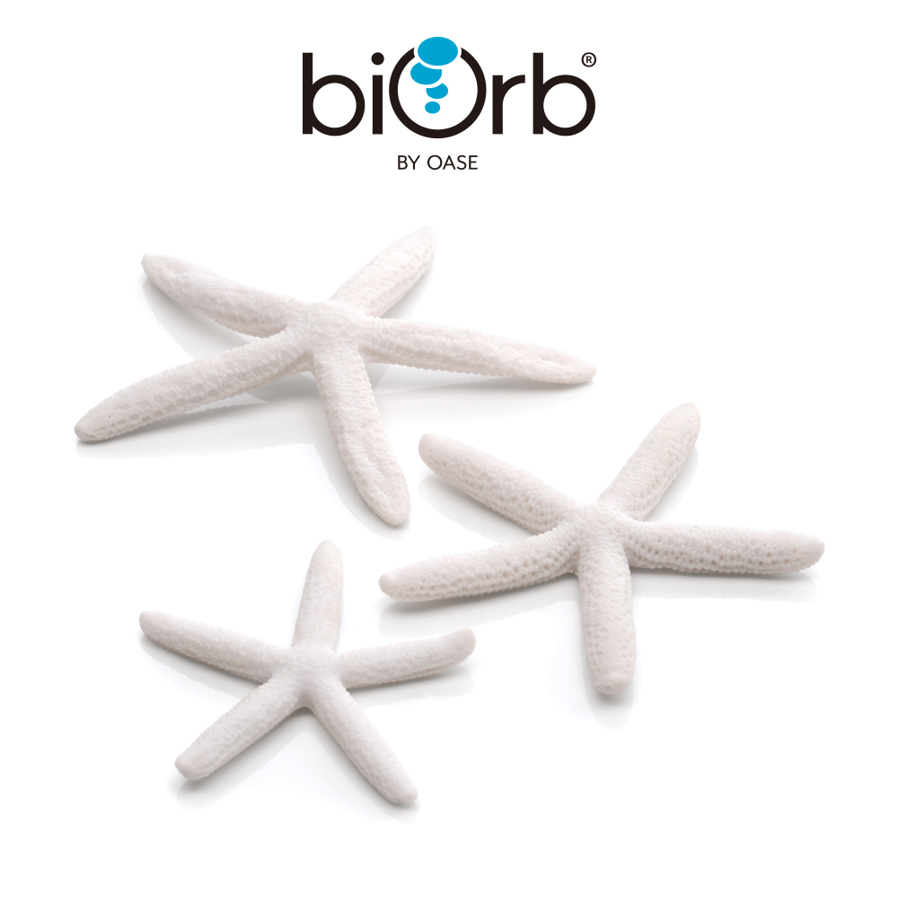 OASE 歐亞瑟 biOrb 仿真海星3入組(白色)