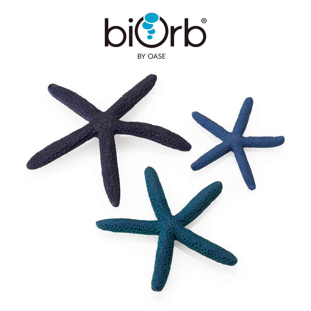 OASE 歐亞瑟 biOrb 仿真海星3入組(藍色)