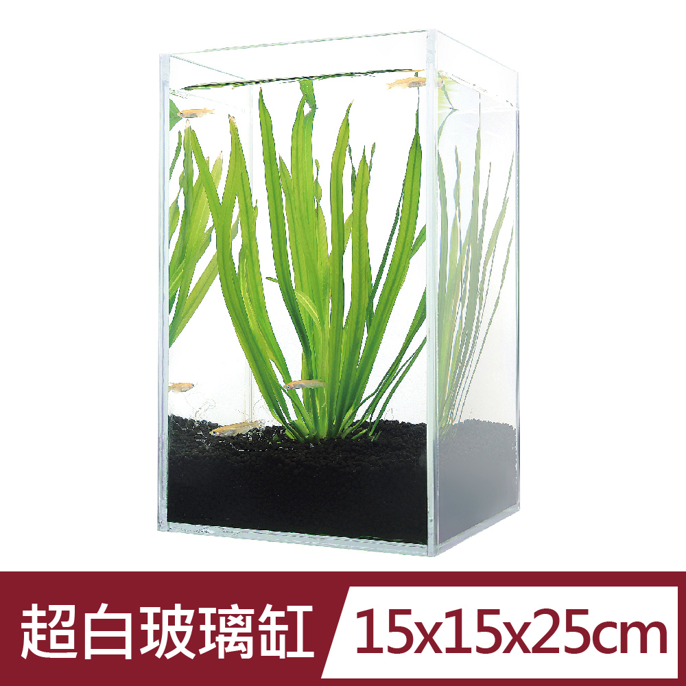ISTA 伊士達 15cm 超白缸-適合鬥魚小型魚水草景